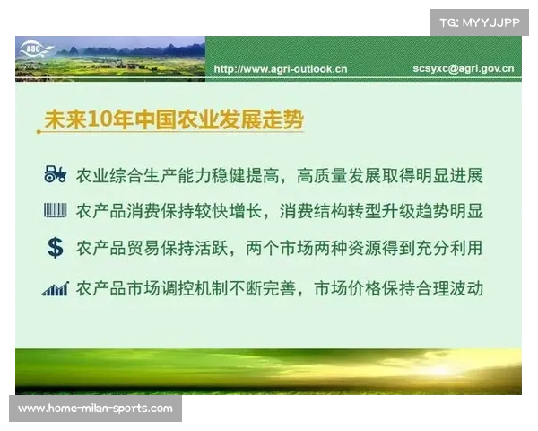 中国标准下国际拔河赛事规则解析与发展趋势探讨 中国标准下国际拔河赛事规则解析与发展趋势探讨